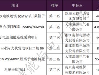 均價1.55元/Wh 東南粵水電儲能系統(tǒng)采購項目開標(biāo)