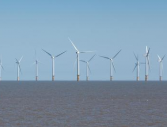 1000MW！龍源電力海上風(fēng)電項目招標(biāo)