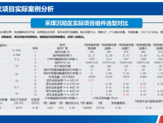 N型“正當年” 全面發(fā)力多場景融合！