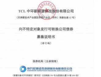 TLC中環(huán)募資138億元,投建35GW硅片電池項目