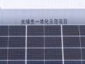 東莞：項目聚“能”，產業向“新”