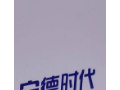 CATL首個儲能電池為主的零碳工廠正式誕生