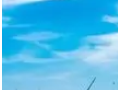 國(guó)家能源集團(tuán)：以深化改革推進(jìn)轉(zhuǎn)型升級(jí)